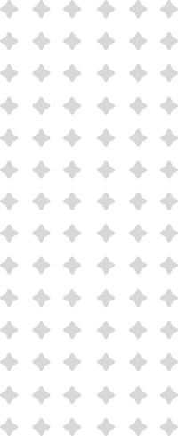 pattern v 1.png